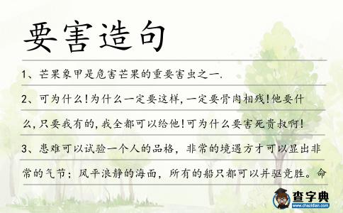 要害造句