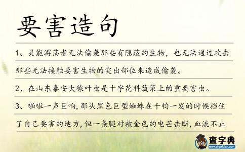 要害造句