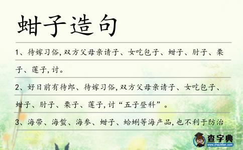 蚶子造句