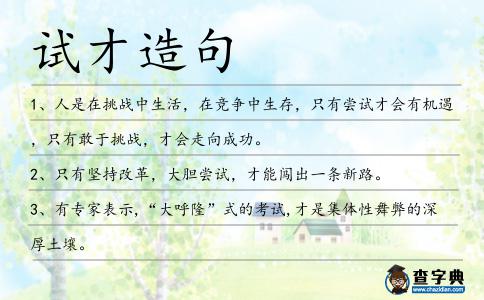 試才造句
