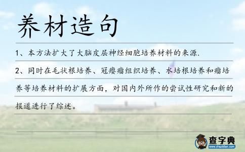 養(yǎng)材造句