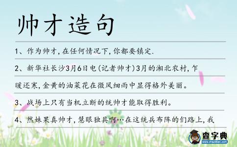 帥才造句