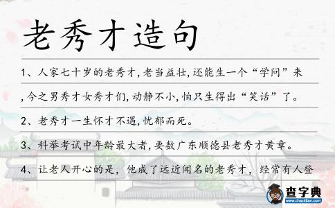 老秀才造句