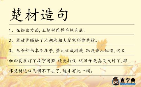 楚材造句