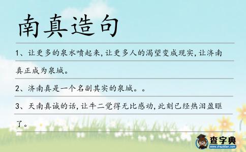 南真造句