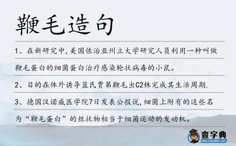 鞭毛造句