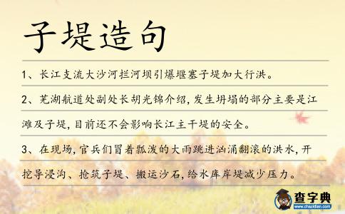 子堤造句