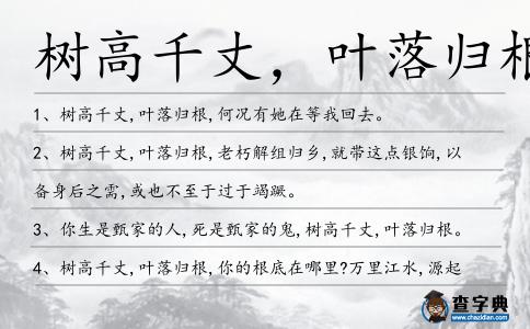 樹高千丈,葉落歸根造句