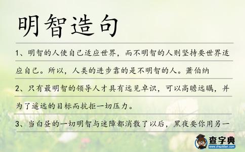 明智造句