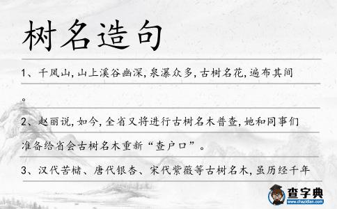 樹名造句