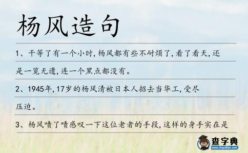 楊風造句