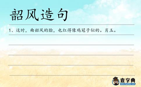 韶風造句