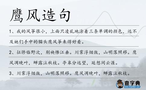 鷹風造句