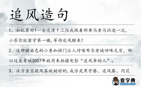 追風造句