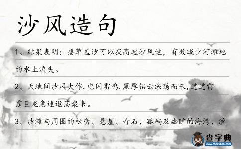 沙風造句