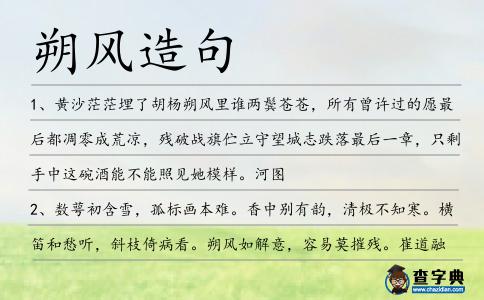 朔風造句
