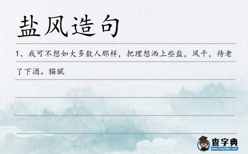 鹽風造句
