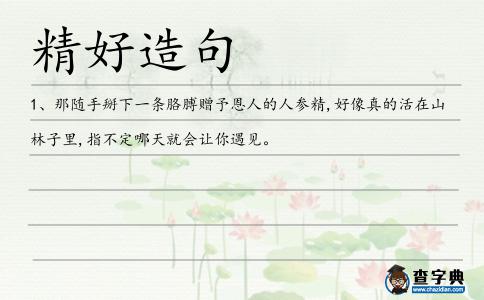 精好造句