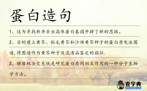 蛋白造句