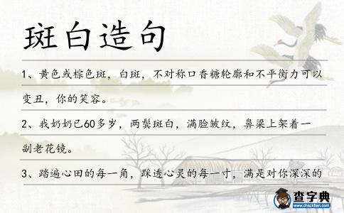 斑白造句