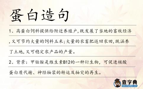 蛋白造句