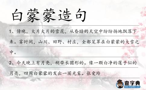白蒙蒙造句