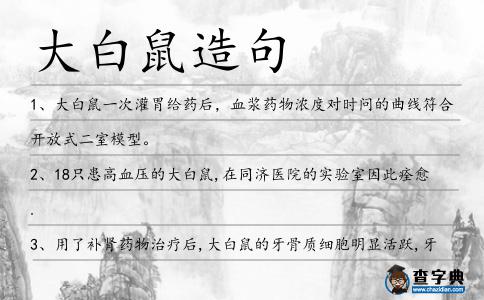 大白鼠造句