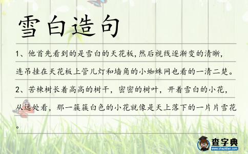 雪白造句