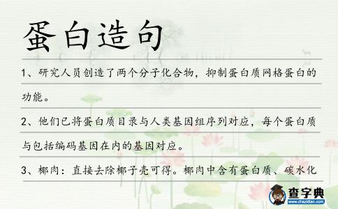 蛋白造句