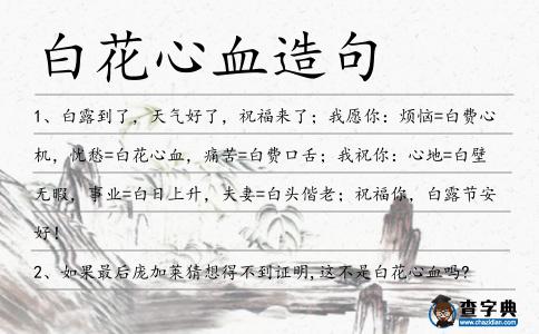 白花心血造句