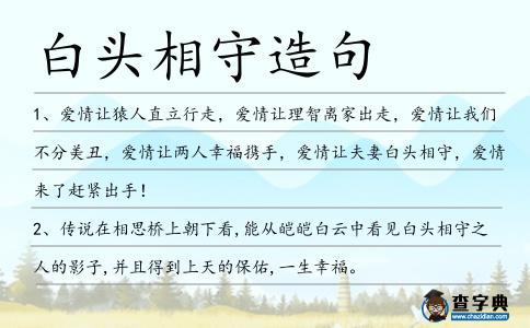白頭相守造句