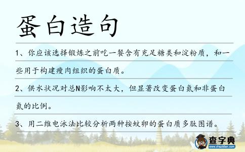 蛋白造句