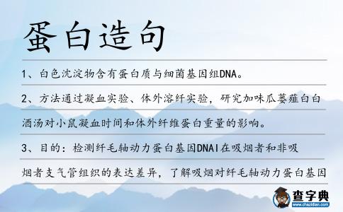 蛋白造句