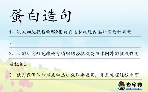 蛋白造句