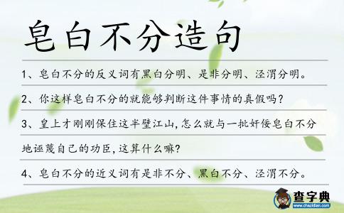 皂白不分造句