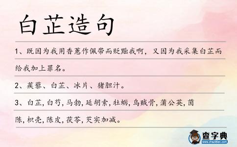 白芷造句