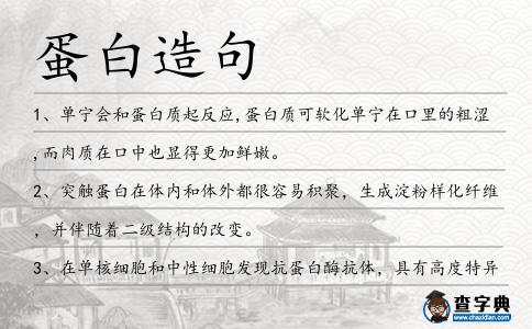 蛋白造句