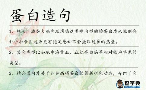 蛋白造句