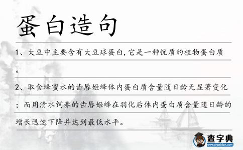 蛋白造句