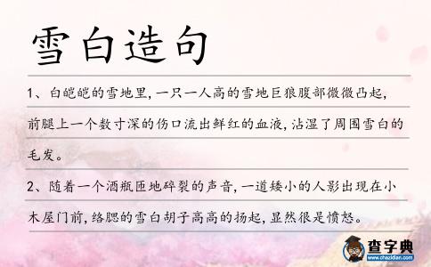 雪白造句