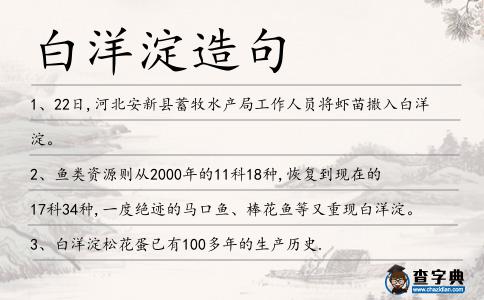 白洋淀造句