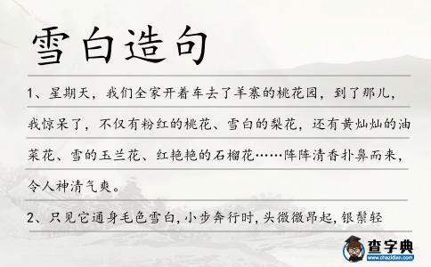 雪白造句