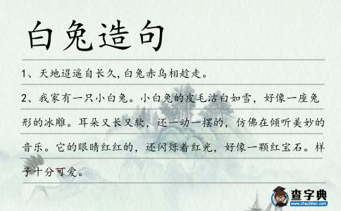 白兔造句