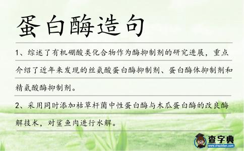 蛋白酶造句
