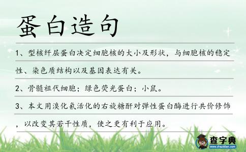 蛋白造句