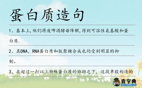 蛋白質造句
