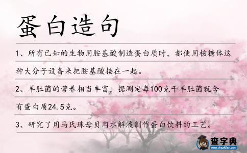 蛋白造句