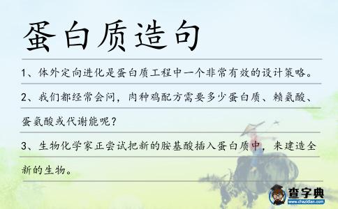 蛋白質造句