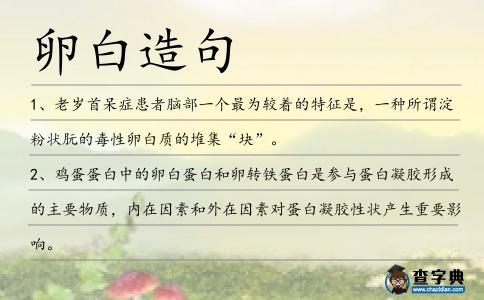 卵白造句