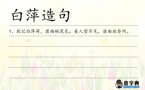 白萍造句